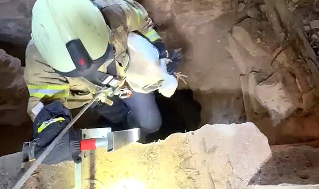 Avcılar'da kuyuya düşen leylek itfaiye tarafından kurtarıldı