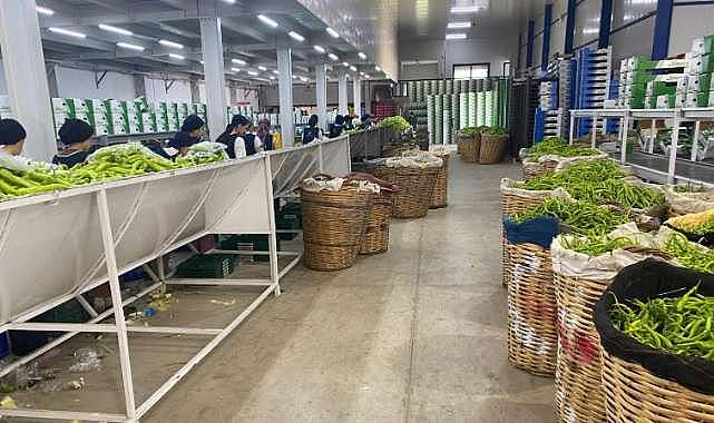 Avrupa sofralarının tercihi Bursa ürünleri!