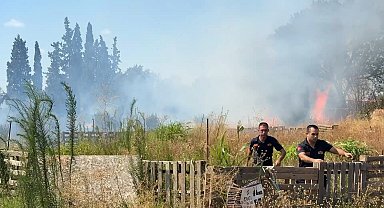 Aydın'da ot yangınında alevler zeytinliğe sıçradı