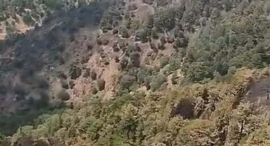 Aydın'daki orman yangını 2'nci gününde