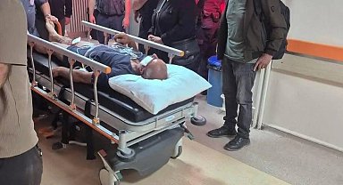Ayı saldırısına uğradı, köpekleri sayesinde kurtuldu