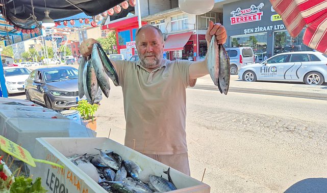Balık tezgahlarında palamut bolluğu