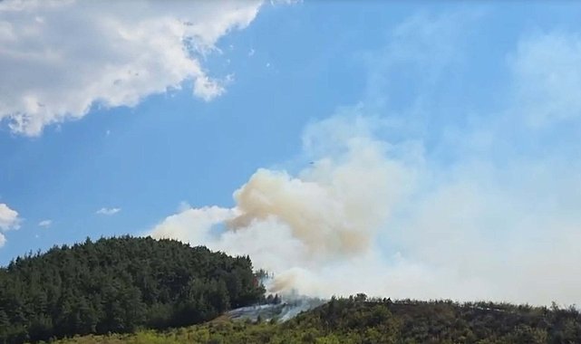 Balıkesir Dursunbey'de orman yangını