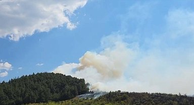Balıkesir Dursunbey'de orman yangını