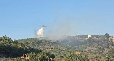 Balıkesir Havran'da maki ve mera yangını kontrol altına alındı