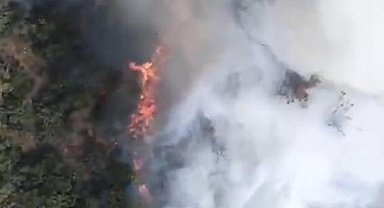 Balıkesir'de kamyondaki yangın ormana sıçradı