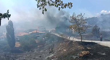 Balıkesir'de orman yangını