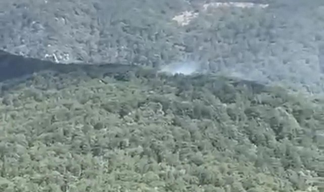 Balıkesir'de orman yangını