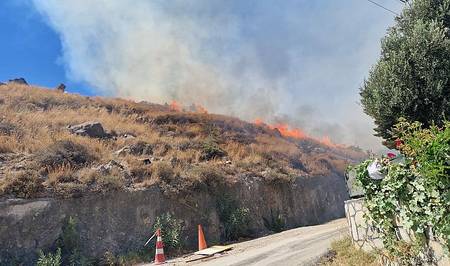 Bodrum'da maki yangını; alevler 1 saatte kontrol altına alındı