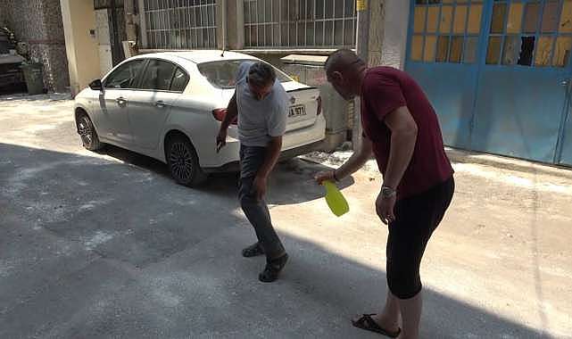 Bursa’da bir mahalleyi pireler bastı