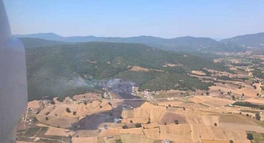 Bursa’da bir orman yangını daha! Kontrol altına alındı