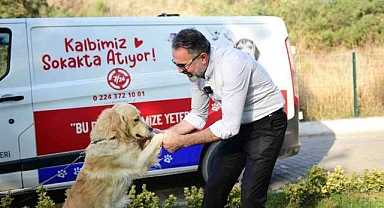 Bursa’da bir tıkla sahipsiz canlara yuva