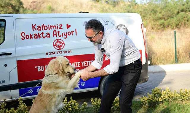 Bursa’da bir tıkla sahipsiz canlara yuva