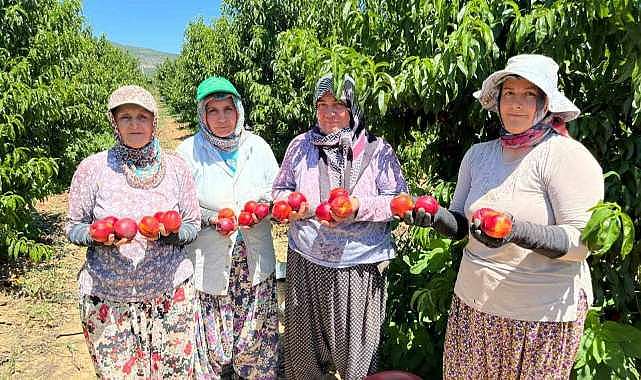 Bursa’da fiyat tepkisi! Tarlada 10-15, markette 100…