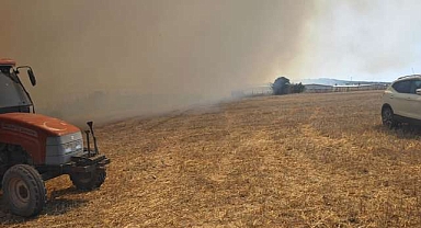 Bursa’da makilik alanda yangın