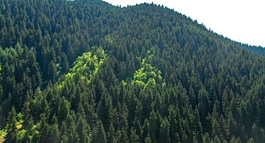 Bursa’da Mudanya’nın gözde noktası için kritik karar!