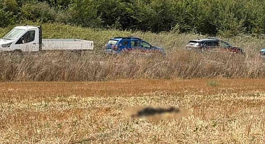 Bursa'da tarlada ceset bulundu