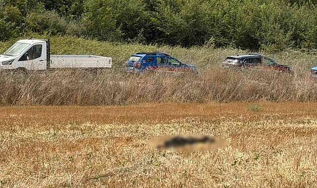 Bursa'da tarlada ceset bulundu