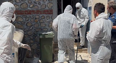 Bursa’daki pire istilasıyla ilgili yeni gelişme