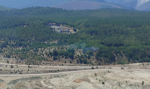 Bursa'da orman yangını
