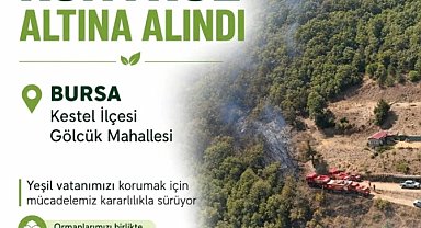 Bursa'da orman yangını