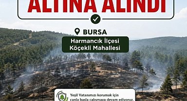 Bursa'da orman yangını