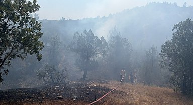 Bursa'da orman yangını