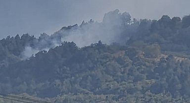 Bursa'da orman yangını