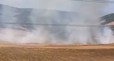 Bursa'da tarlayı ateşe verdiği öne sürülen şüpheli yakalandı