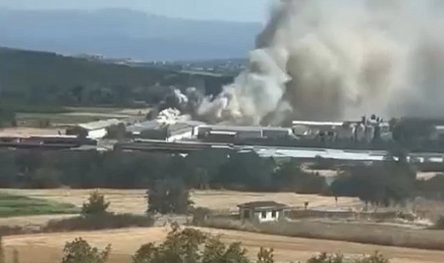 Bursa'da tavuk çiftliğinde yangın
