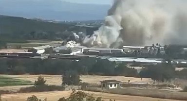 Bursa'da tavuk çiftliğinde yangın