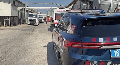 Bursa'da tavuk çiftliğinde yangın