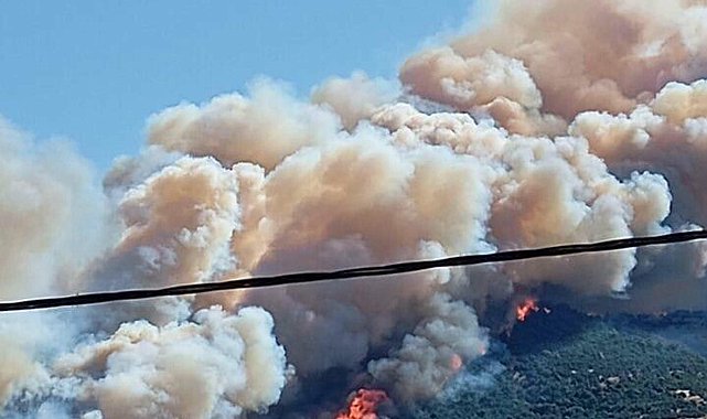 Çanakkale'de 2 ayda çıkan orman yangınlarında 541 hektar alan zarar gördü