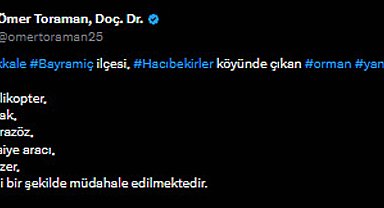 Çanakkale'de orman yangını