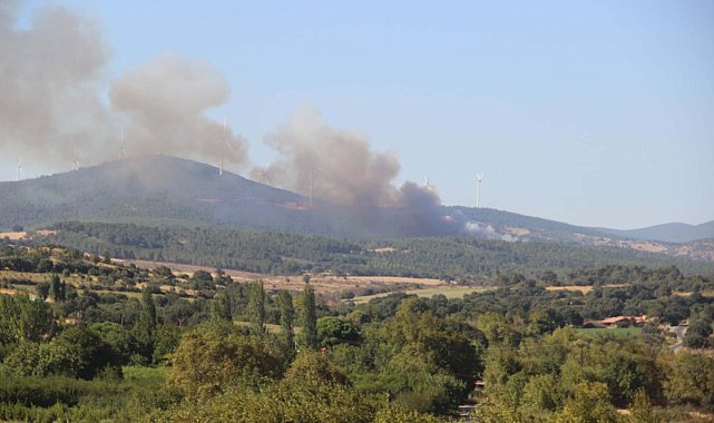 Çanakkale'de orman yangını