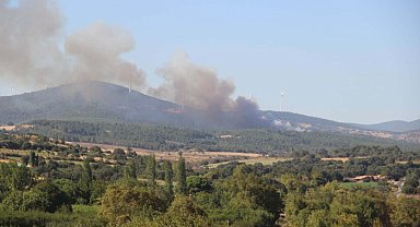 Çanakkale'de orman yangını