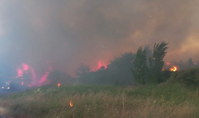 Çanakkale'de otlukta çıkan yangın ormana sıçradı