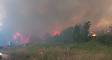 Çanakkale'de otlukta çıkan yangın ormana sıçradı