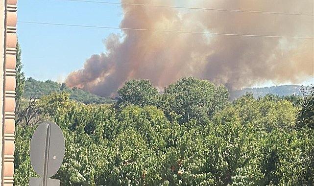 Çanakkale'de tarım arazisinde yangın