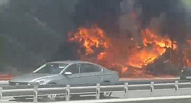 Çatalca'da lastik yüklü TIR'ın dorsesi yandı; alevler tarım arazisine sıçradı