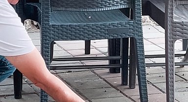 Çay bahçesinde yanına gelen sincabı çekirdekle besledi