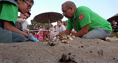 Çıralı'da 2 bin 758 deniz kaplumbağası yavrusu denizle buluştu