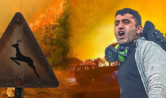 Çok sayıda şüpheli tutuklandı