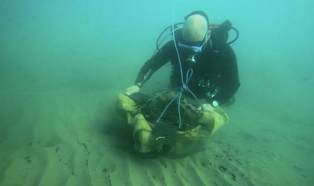 Deniz çayırları rehabilitasyon projesinde yüzde 90 başarı