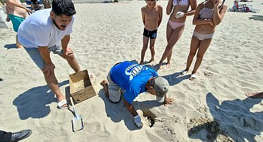 Deniz suyunda kalan 68 caretta caretta yumurtası korumaya alındı