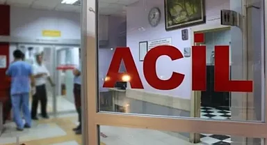 Domuz sandığı kişinin babası olduğu ortaya çıktı!