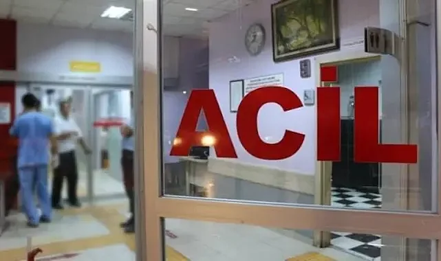 Domuz sandığı kişinin babası olduğu ortaya çıktı!