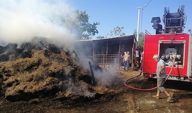Edirne'de 500 saman balyası yandı