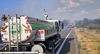 Edirne'de anız yangını ormana sıçradı; havadan ve karadan müdahale sürüyor