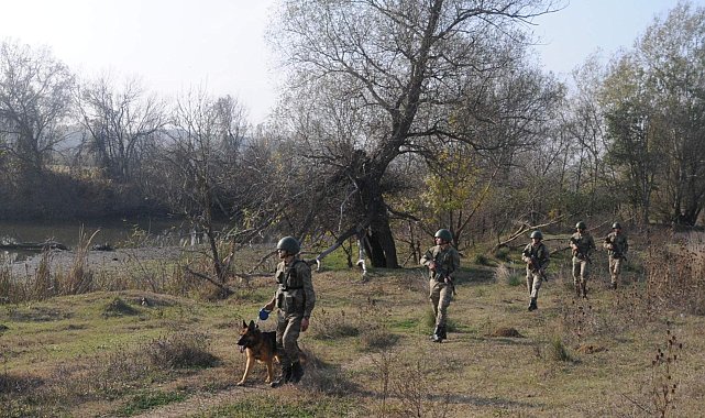 Edirne'de durdurulan araçlarda 9 kaçak göçmen yakalandı, 2 organizatör tutuklandı